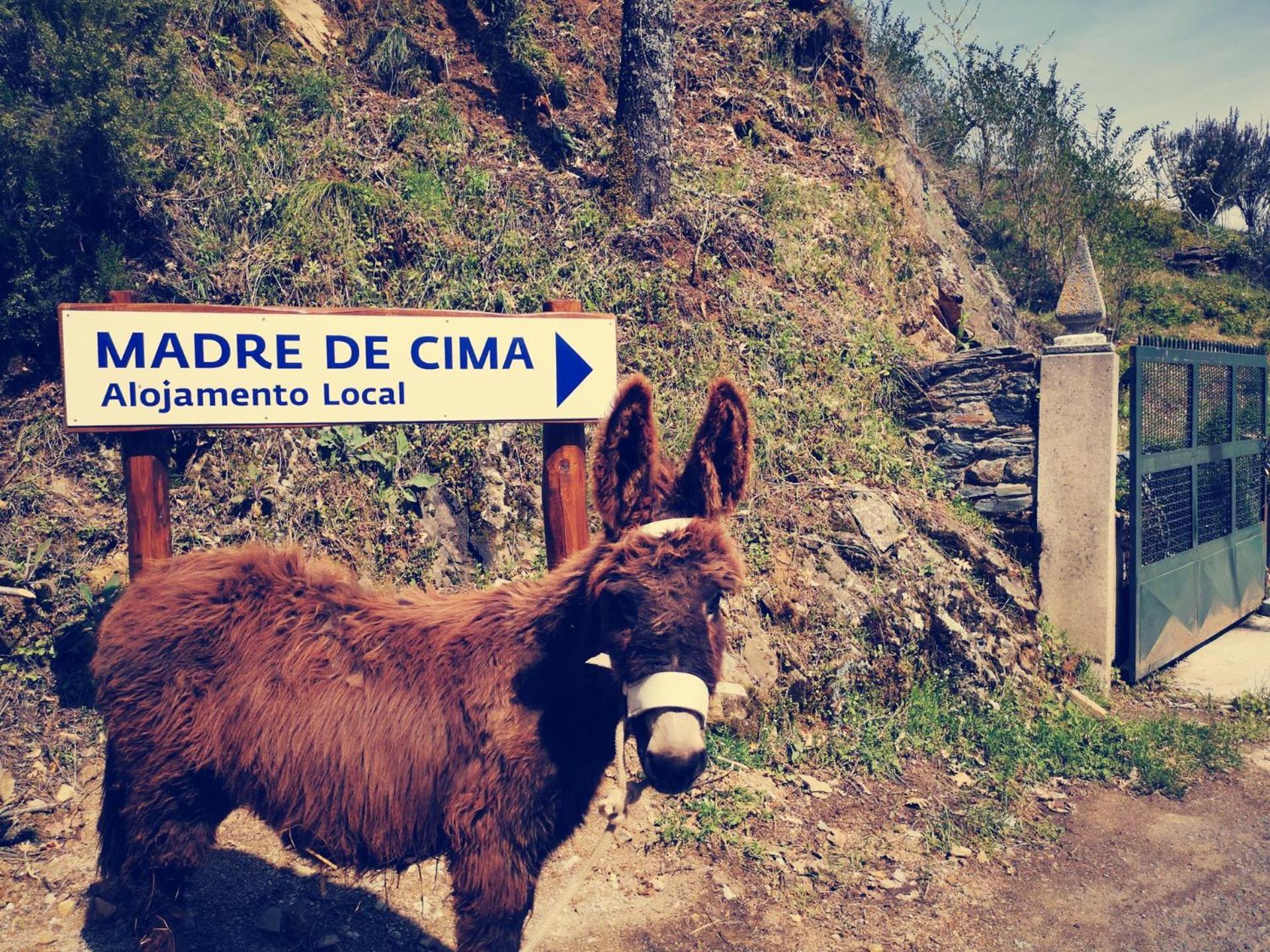 Alojamento Local Madre De Cima Vinhais Exterior photo